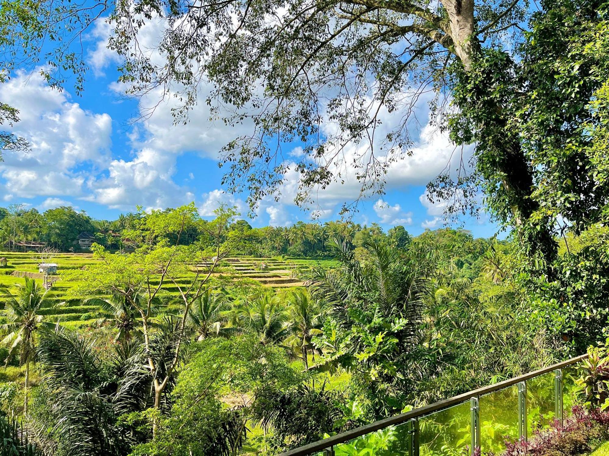 Vila Permata Ayung Private Estate (Adults Only) Ubud Exteriér fotografie